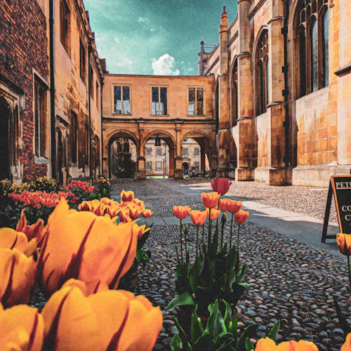 Aplicativo do Guia de Áudio da Cidade de Cambridge para o seu Smartphone - Photo 4