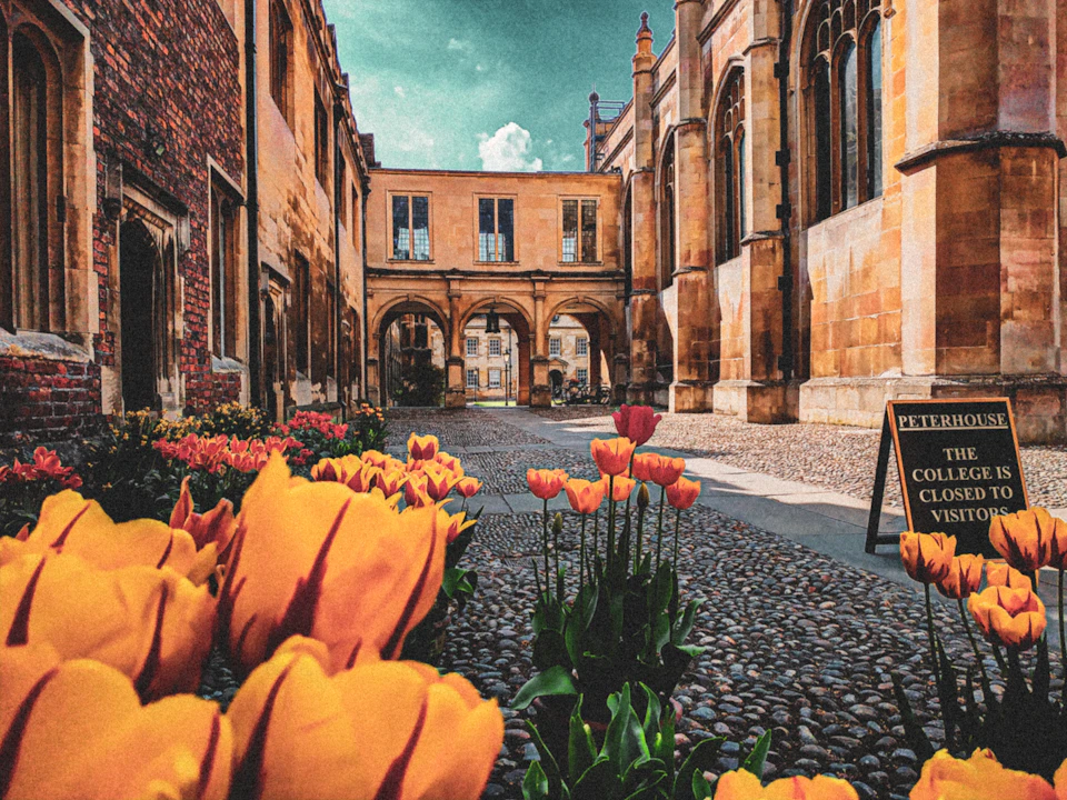 Yellow and red tulips in a cobblestone courtyard surrounded by historic stone buildings under a partly cloudy sky.