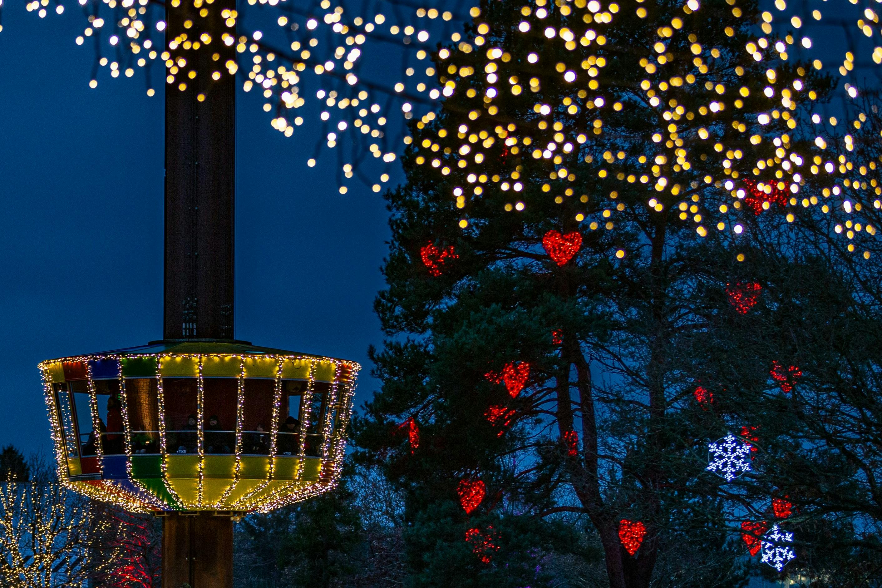 Освещенная карнавальная прогулка ночью со светящимися украшениями в форме сердца на деревьях и струнами огней над головой.