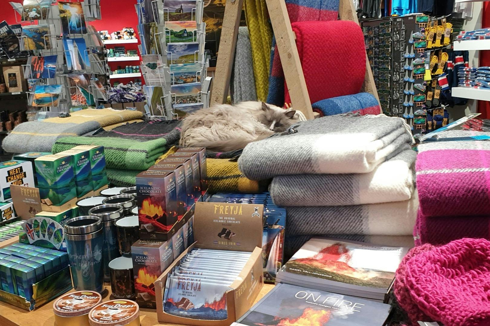 고양이 한 마리가 책, 머그컵, 엽서 등 다양한 물건을 파는 가게에서 겹겹이 쌓인 담요 위에서 잠을 자고 있습니다.