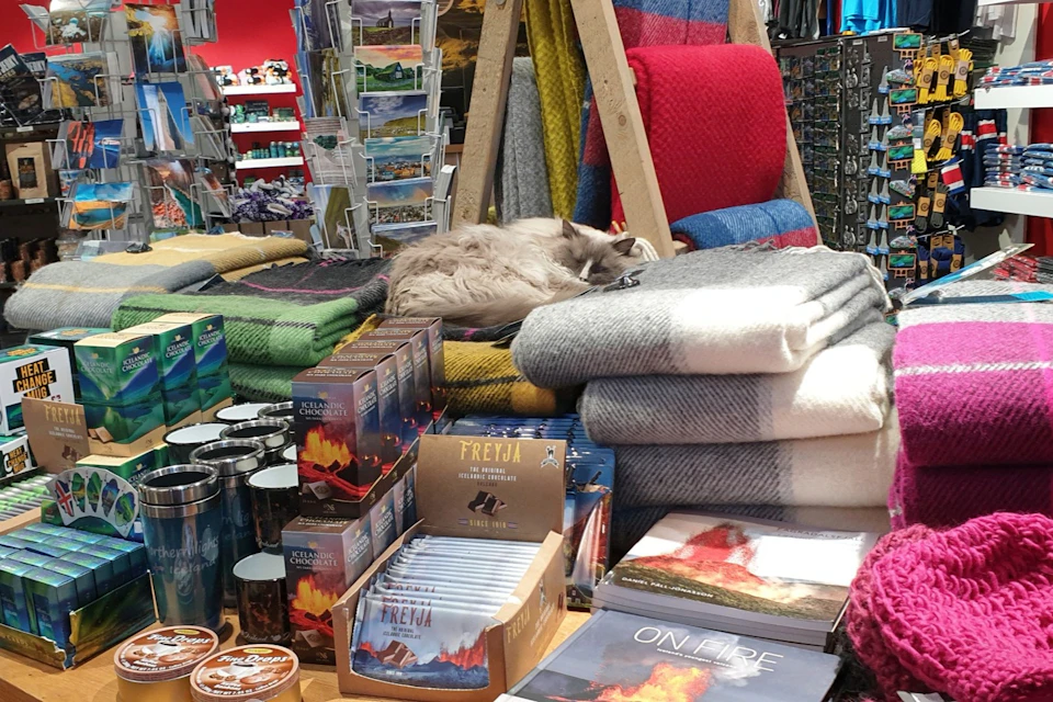 A cat sleeps on stacked blankets in a store selling various items, including books, mugs, and postcards.
