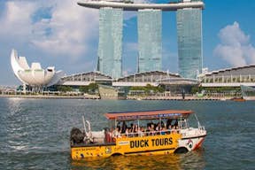 Утиные экскурсии по Сингапуру