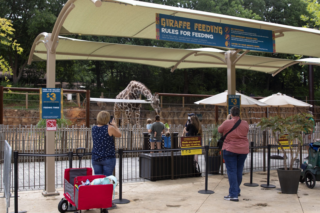 Zoo Atlanta: Biglietto d'ingresso - Alloggi in Atlanta, Georgia
