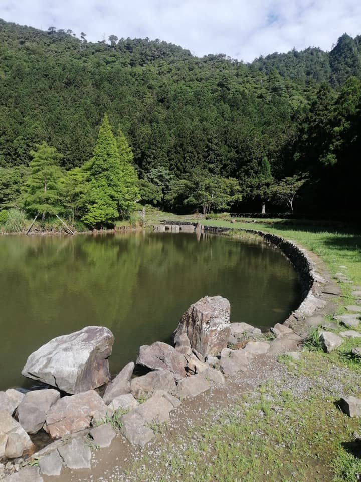 Mingchi Forest Recreation Area: Entry Ticket