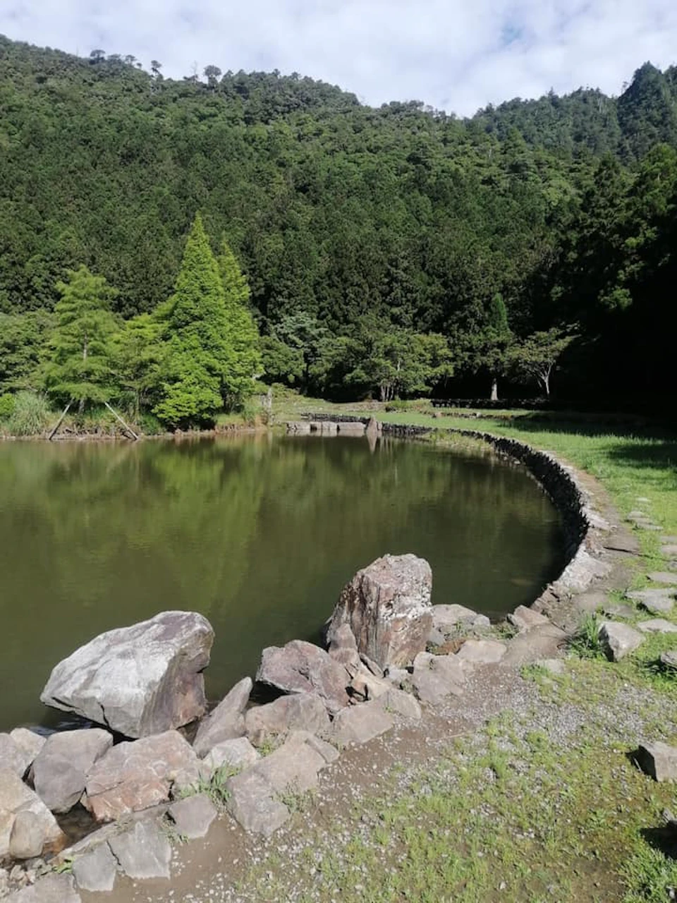 A serene pond surrounded by greenery and trees, with rocks lining the edge and a forested area in the background.