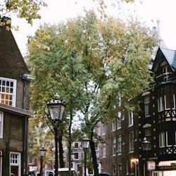 Amsterdam: Small Group City Walking Tour 5