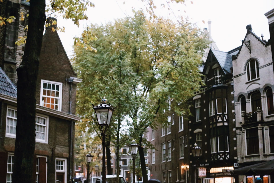 City Walk Amsterdam with Babylon tours