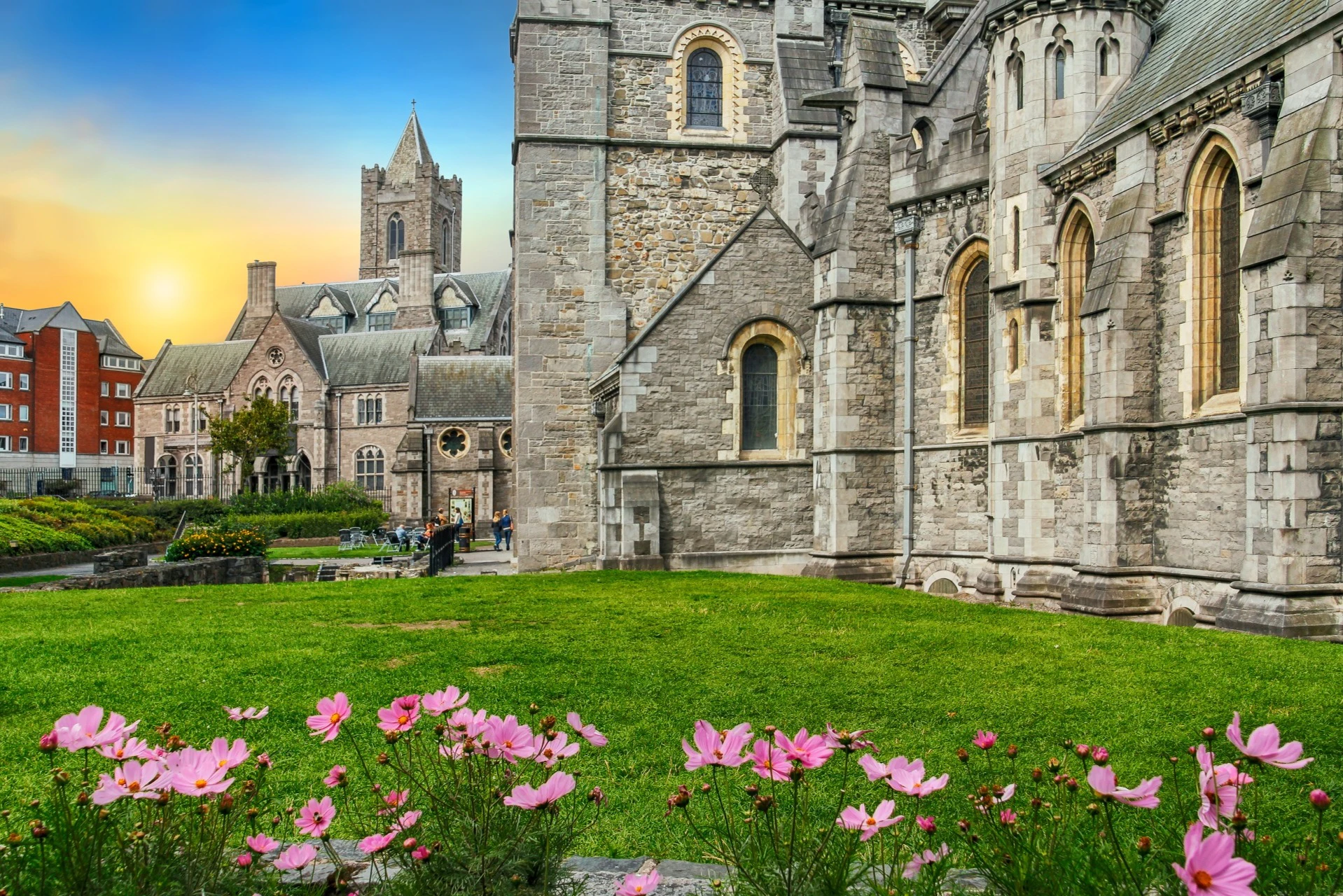 Book of Kells, Dublin Castle & Christ Church Cathedral: Guided Walking Tour