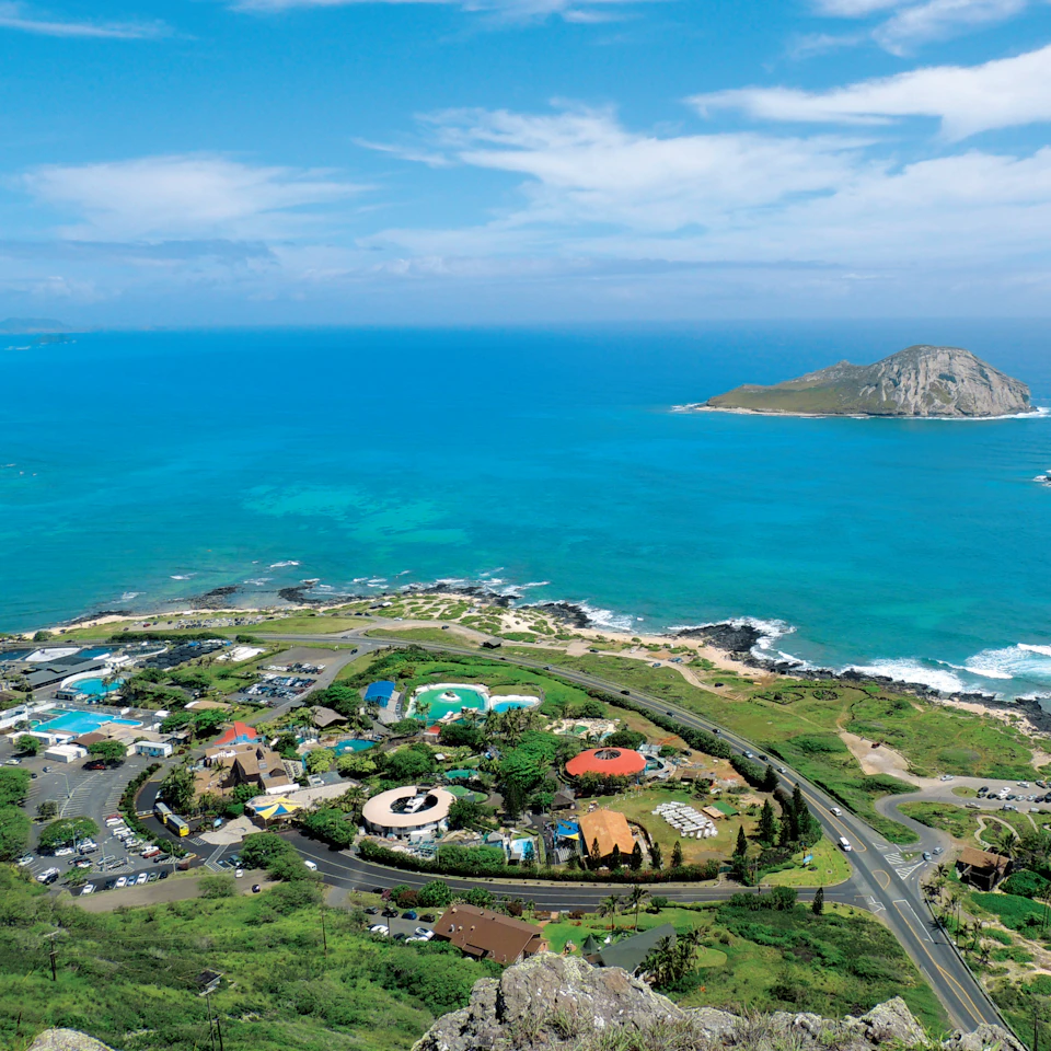 Coastal resort with multiple pools, buildings, and roads surrounded by lush greenery, with an ocean and small island in the background.