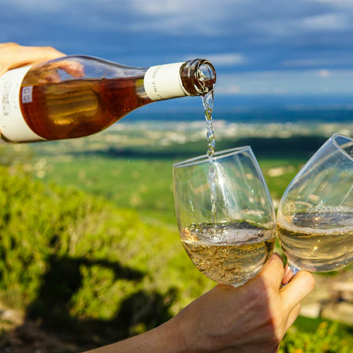 Vale do Loire: Visita guiada aos vinhedos de Vouvray de Tours + degustação - Photo 4