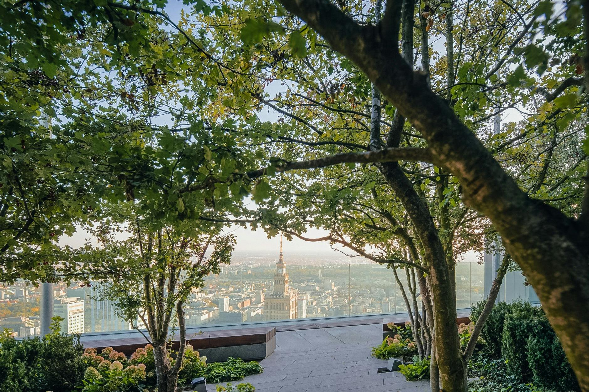 Stromy rámující střešní zahradu s výhledem na město, v dálce s vysokou špičatou věží.