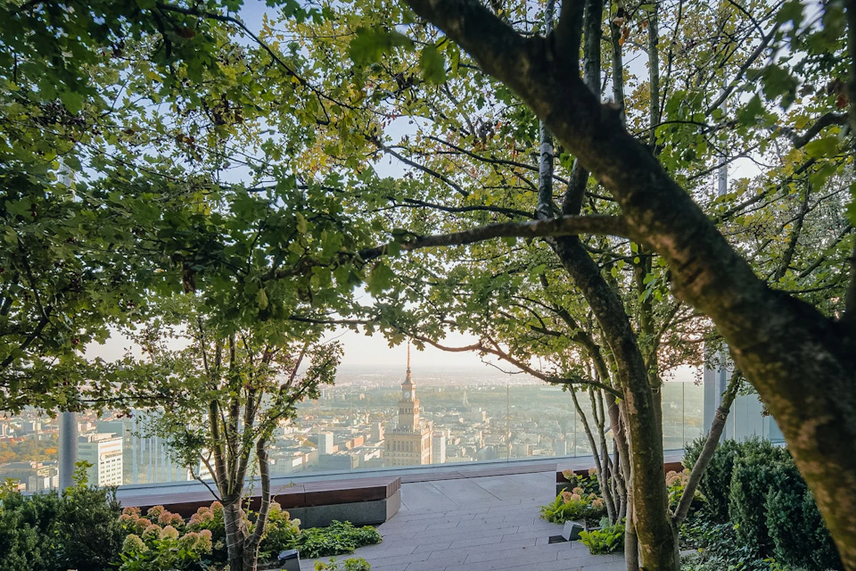 Trees framing a rooftop garden with cityscape views, featuring a tall, pointed tower in the distance.