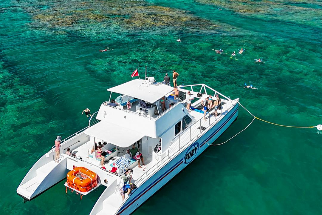 Double Dip Snorkel Trip - Photo 7