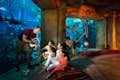 Das Aquarium der Verlorenen Kammern + Fischgeschichten-Tour