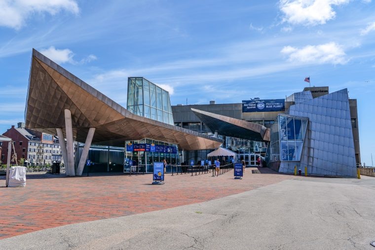 New England Aquarium: Entrada