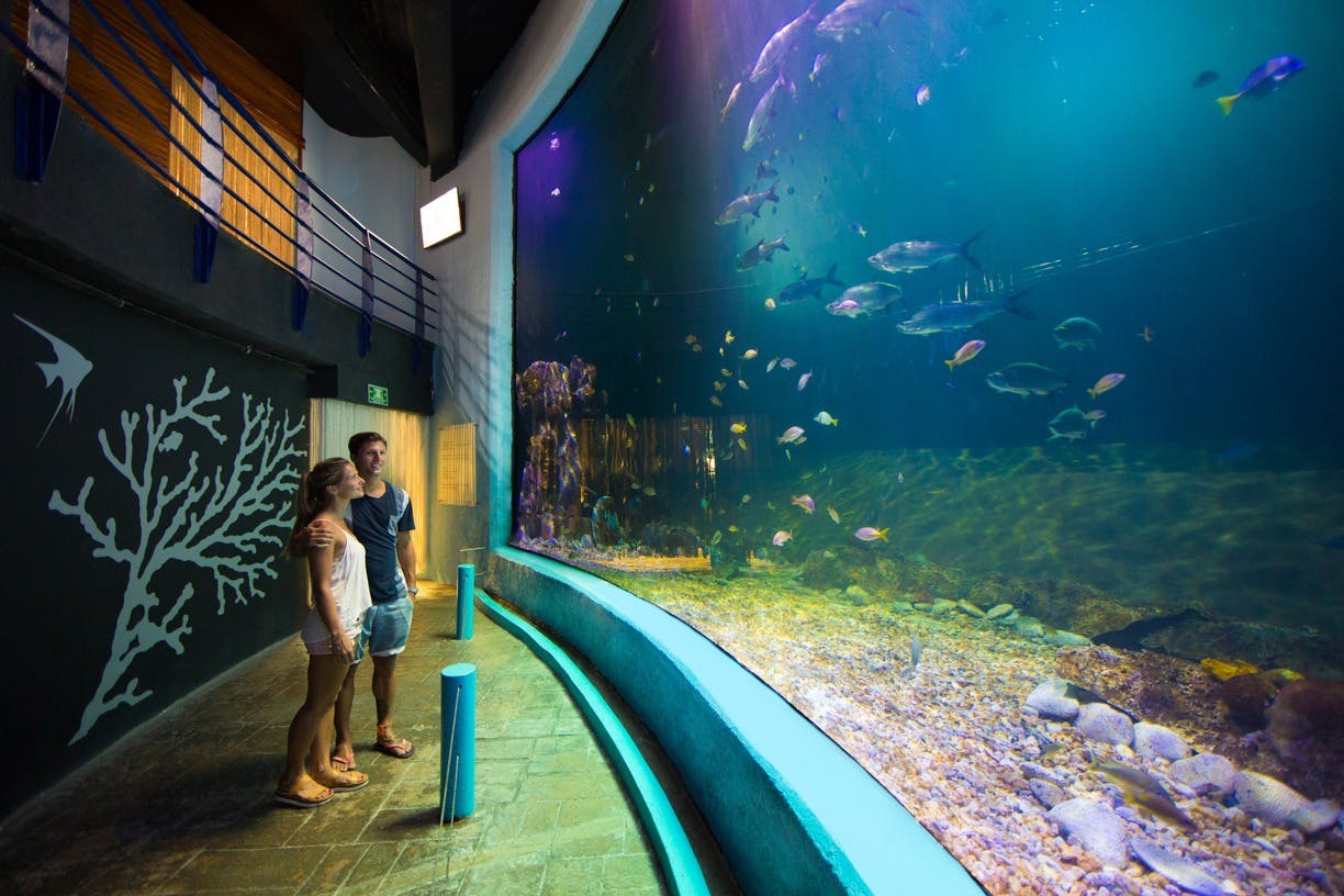 Interactive Aquarium Cancun: Tickets