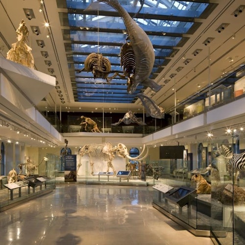 Tour Image 1