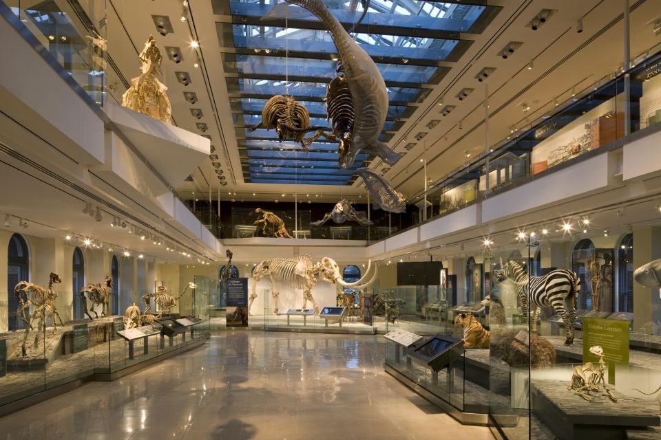 Museu de História Natural do Condado de Los Angeles: bilhete de entrada