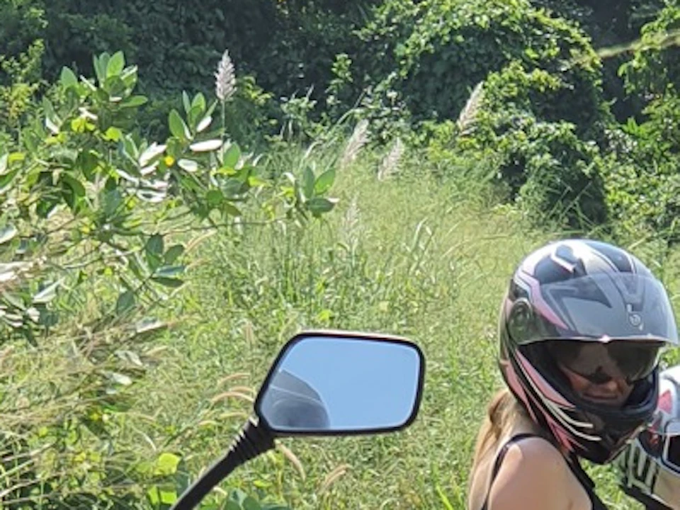 A group of people riding all-terrain vehicles on a dirt path surrounded by greenery.