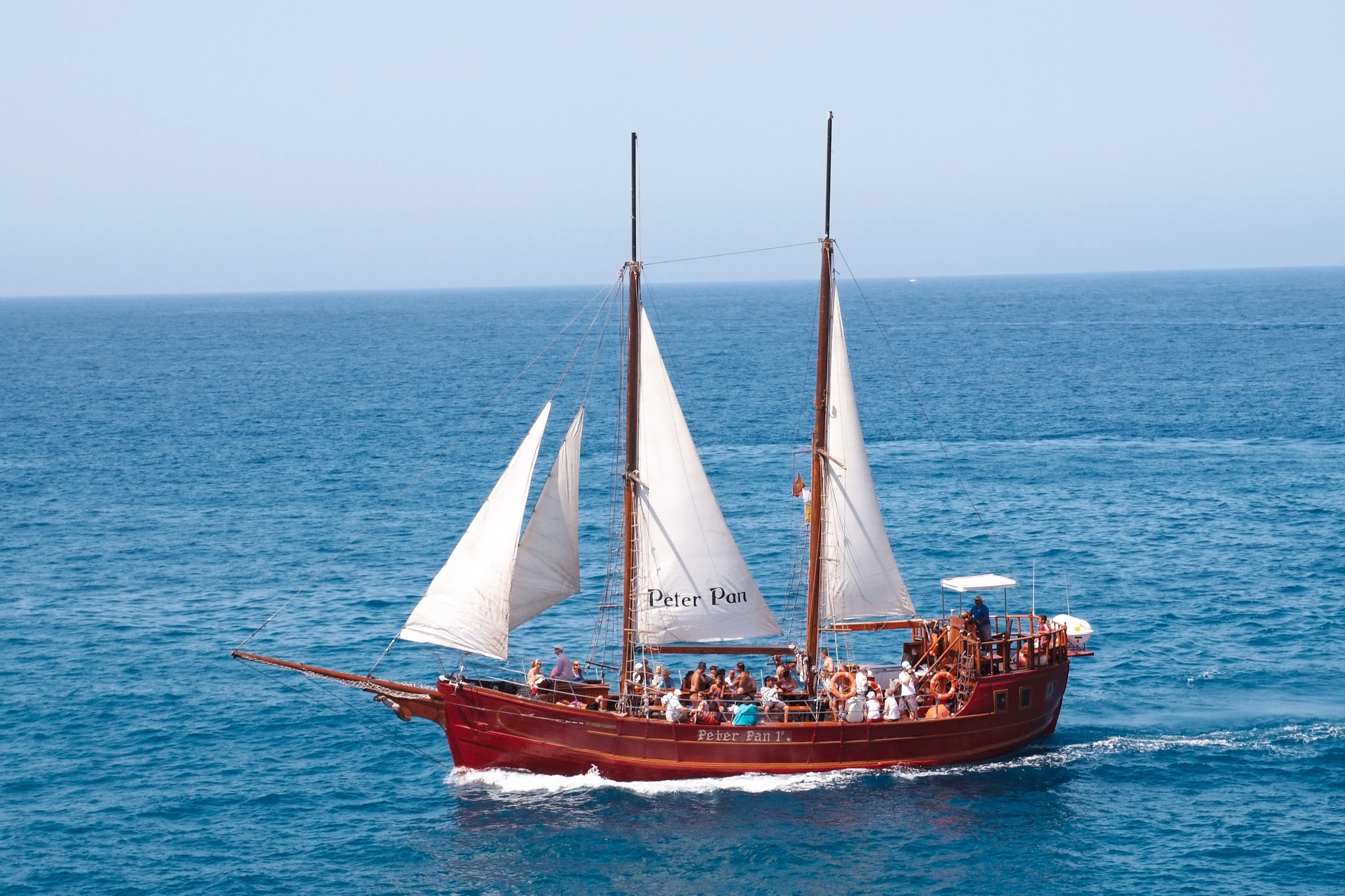 Los Cristianos: Guided Whale Watching Cruise