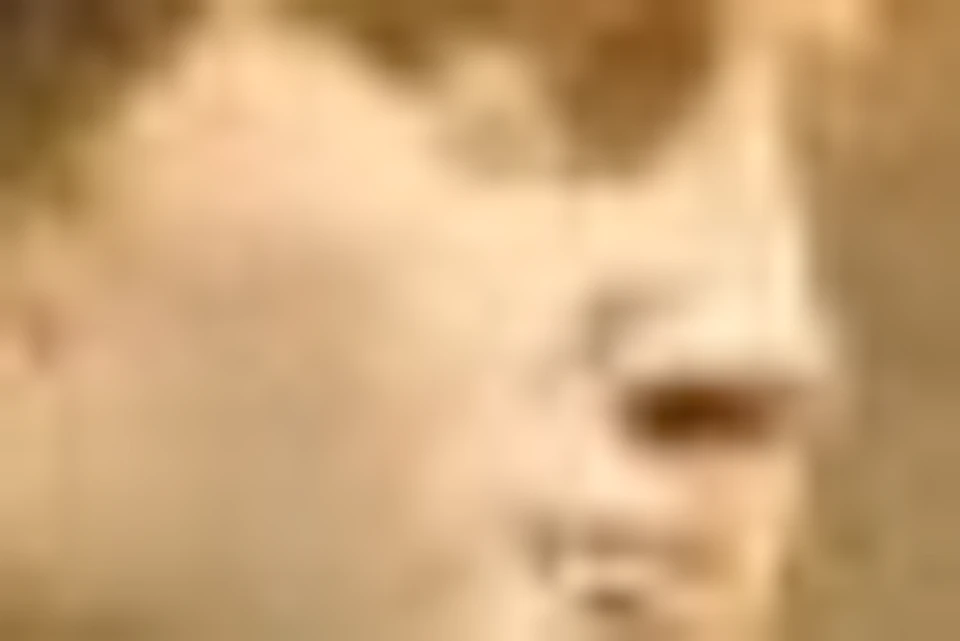 Michelangelo's David