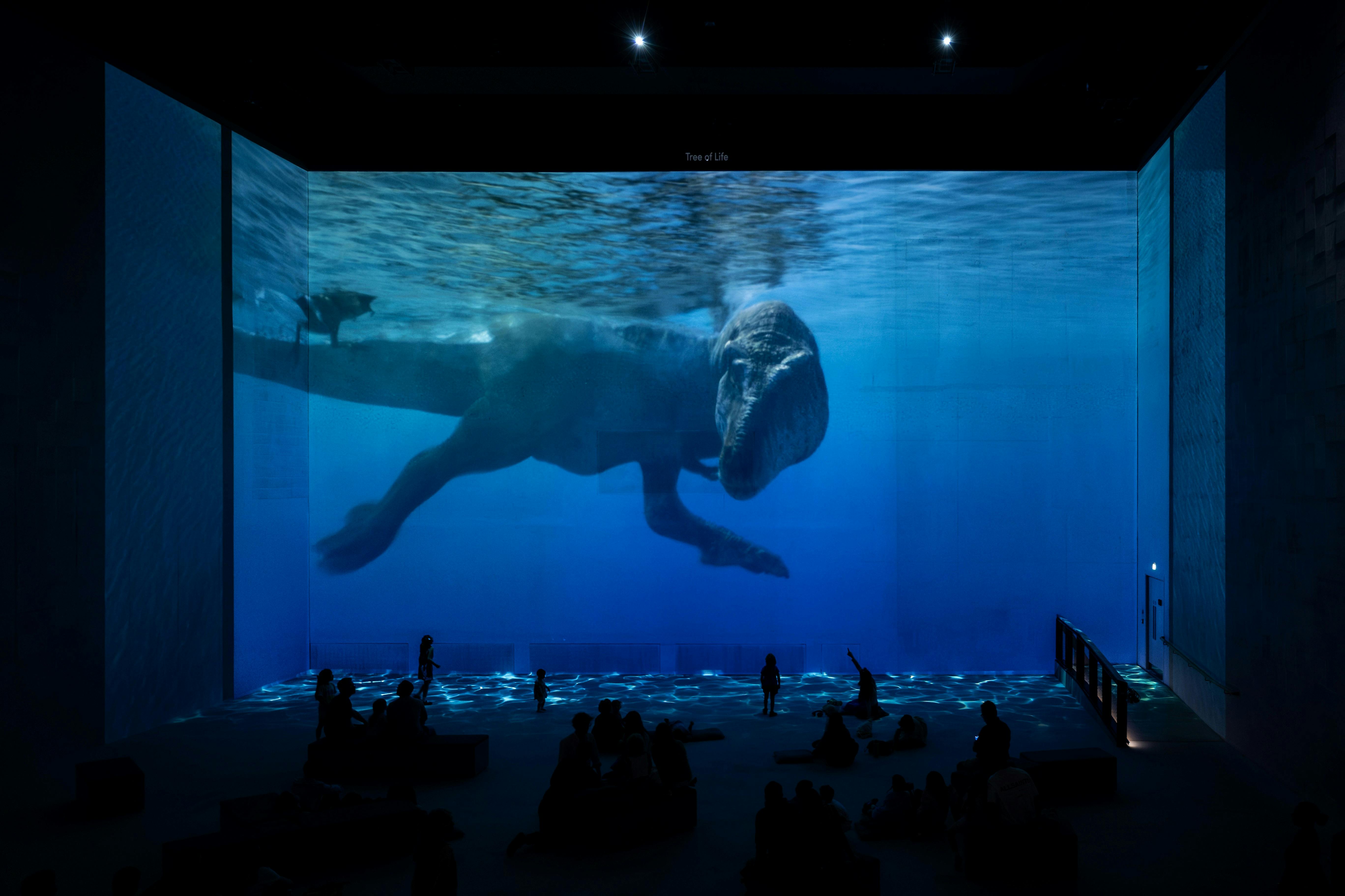 Μια προβαλλόμενη εικόνα ενός δεινόσαυρου που κολυμπά σε ένα σκηνικό που μοιάζει με ενυδρείο, την οποία βλέπουν άνθρωποι με σιλουέτες καθισμένοι στο πάτωμα.