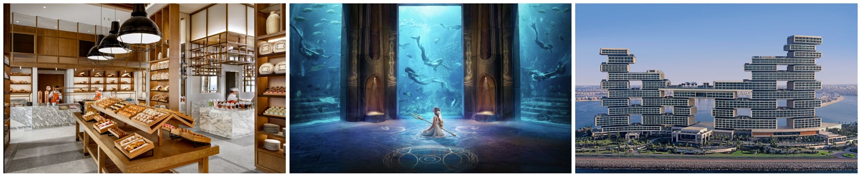 Trzy obrazy przedstawiają wnętrze piekarni, podwodną scenę z postacią i morskimi stworzeniami oraz nowoczesny, wielopoziomowy budynek nad brzegiem.