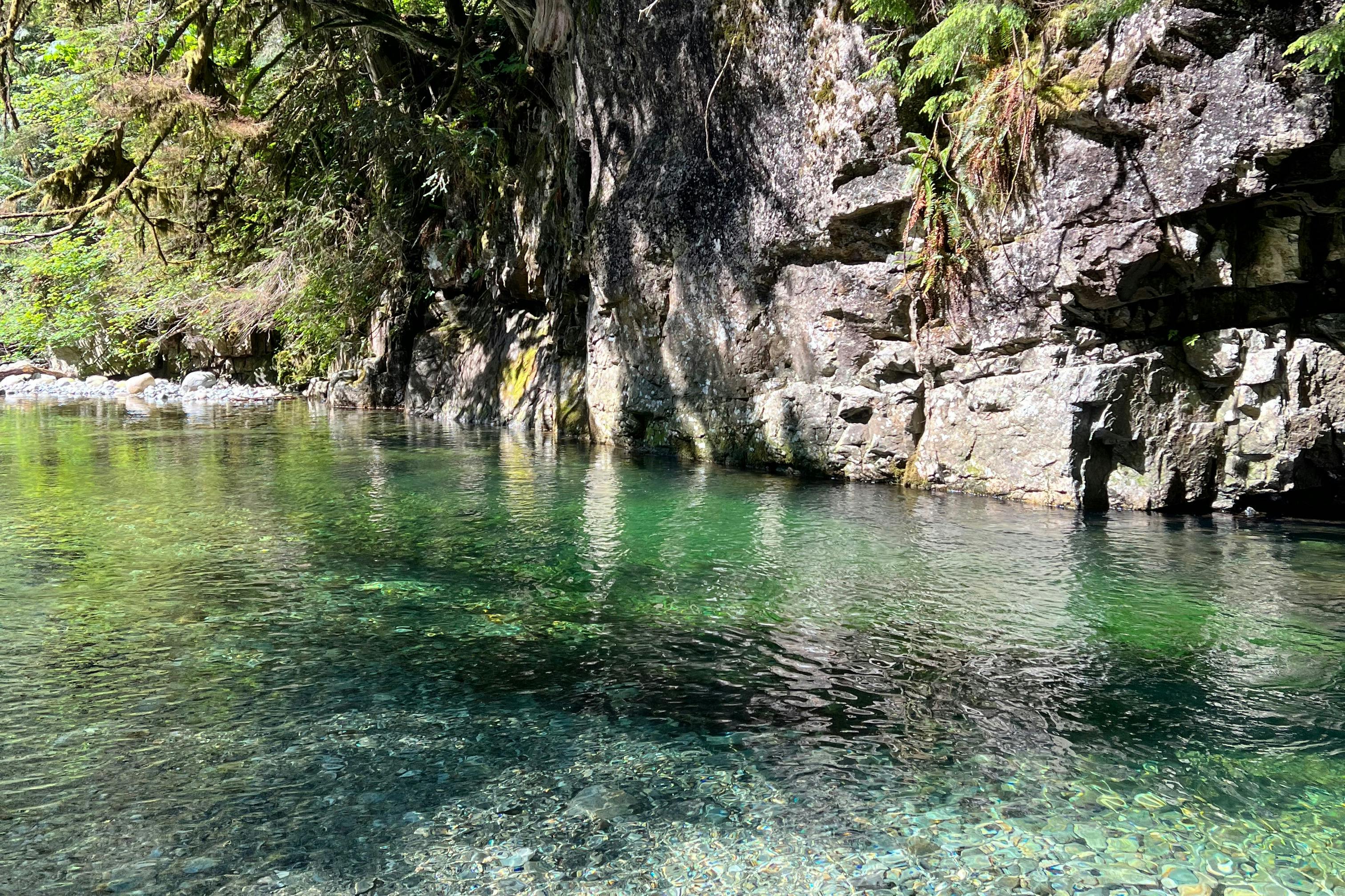 Θέλει κανείς να κολυμπήσει;
