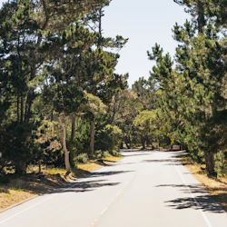 From San Francisco: Day Trip To Monterey and Carmel by the Sea in destination