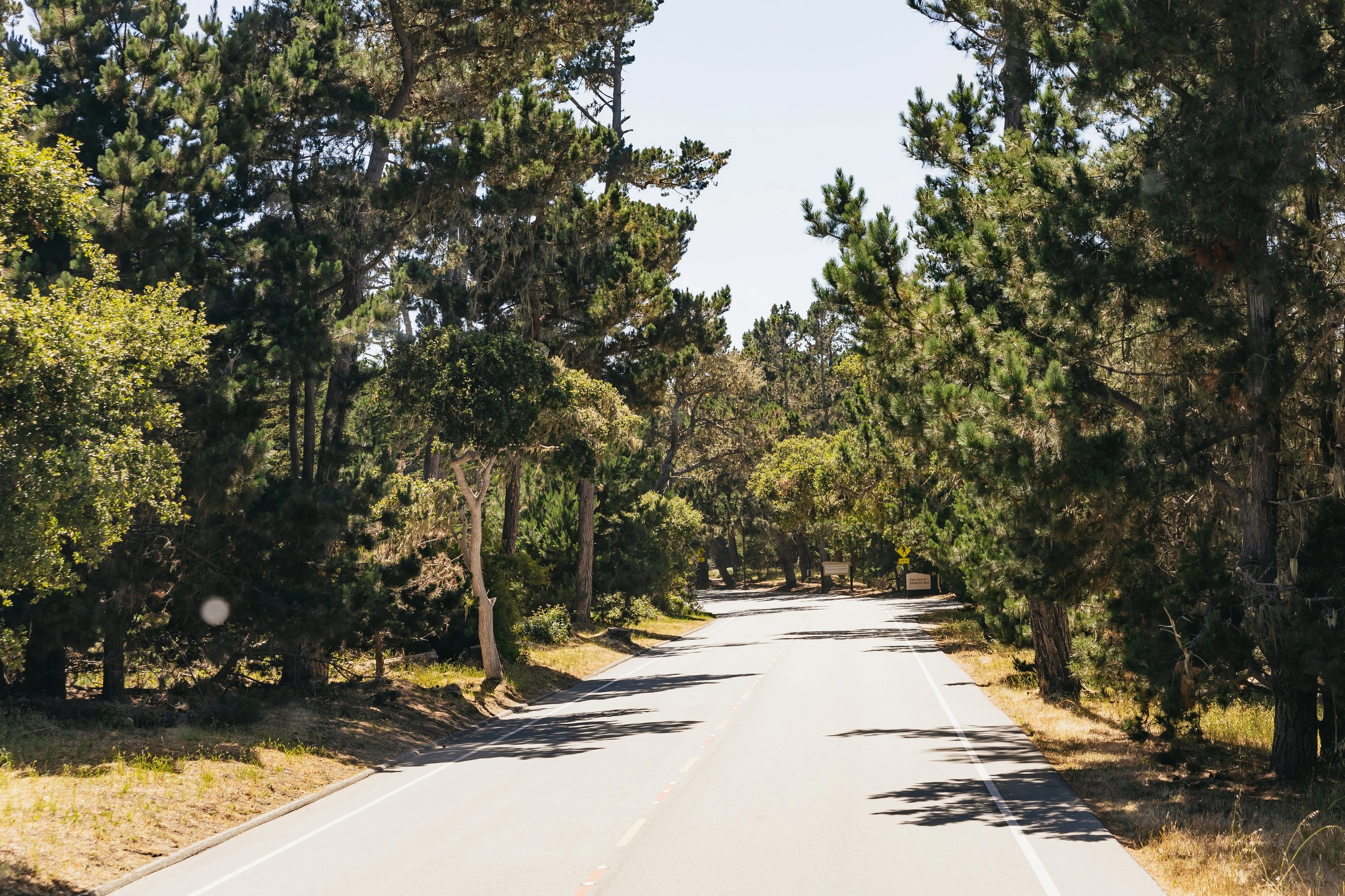 From San Francisco: Day Trip To Monterey and Carmel by the Sea