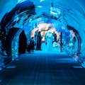 Emaar Entertainment - Dubai Aquarium & Onderwater : PENGUIN NURSERY EXPERIENCE