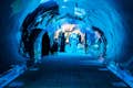 Emaar Entertainment - Dubaï Aquarium & Underwater : EXPÉRIENCE DE LA PENGUINERIE