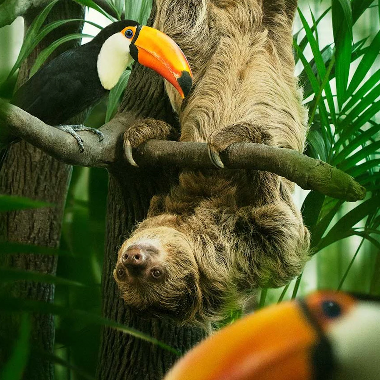 Universeum: Entry Ticket 3
