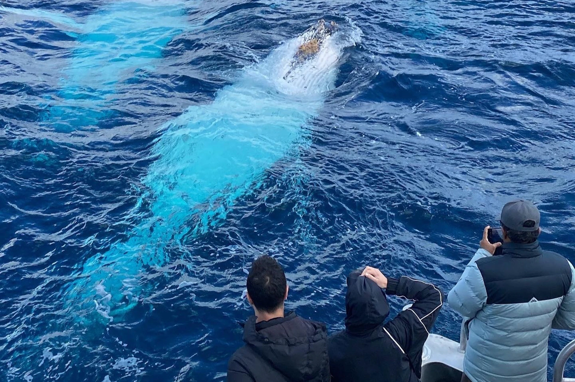 Two people on a boat observe a large whale swimming just beneath the surface of clear blue ocean water.