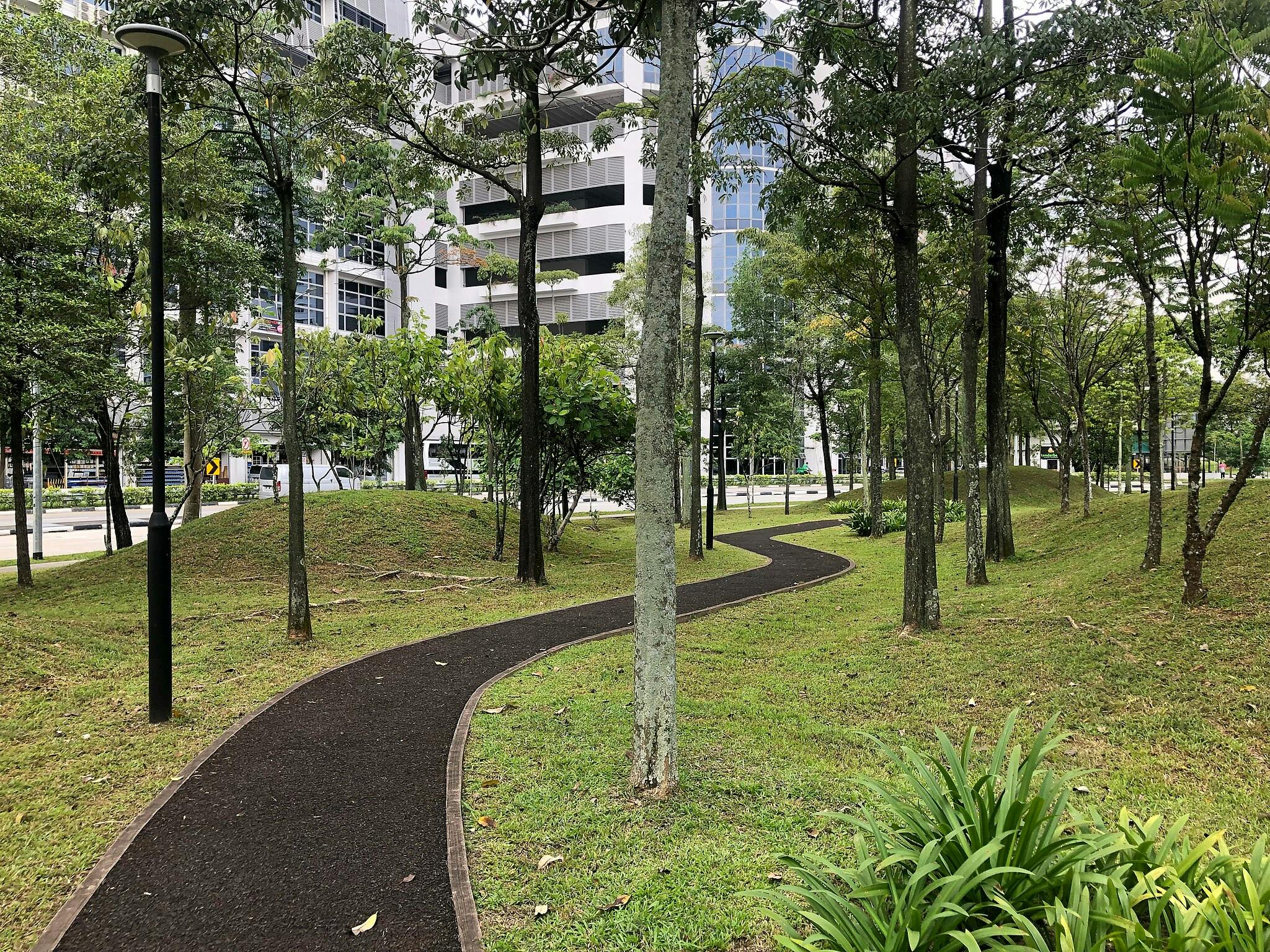 曲线小径穿过一个小公园，那里有树木、灯柱和附近的现代办公楼。
