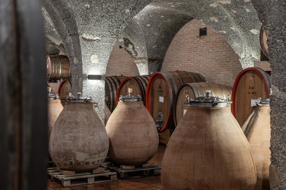 Wine cellar