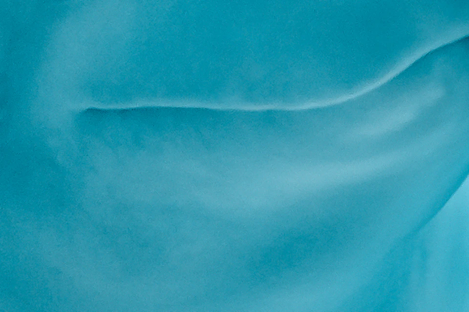 Two beluga whales swimming underwater in a light-blue environment.