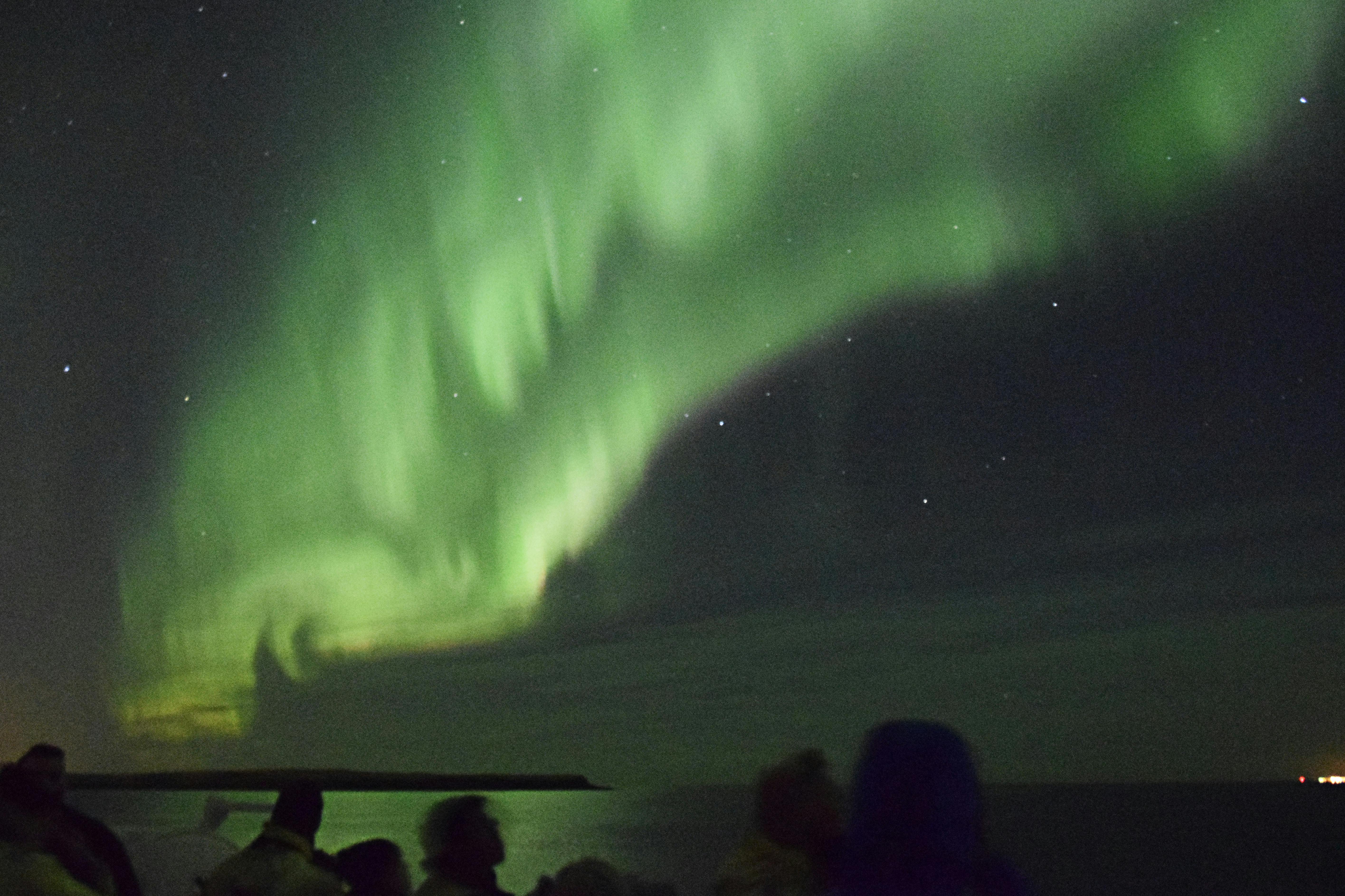 People silhouetted against the Northern Lights, with green and purple hues filling the night sky over a dark landscape.