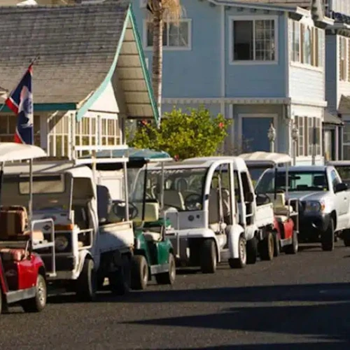 Catalina Island: Day Trip + Scenic Driving Tour - Photo 10