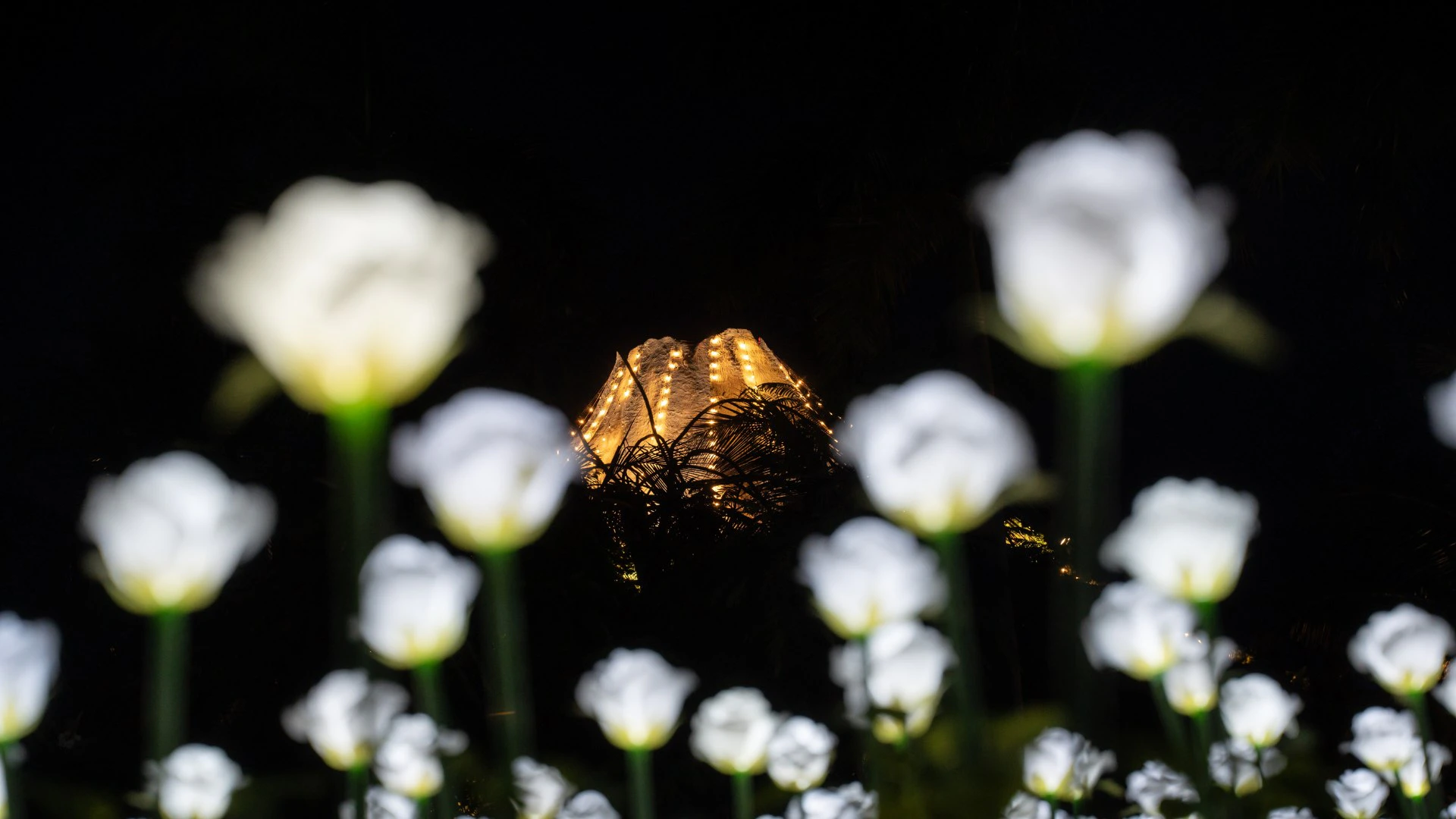 A nighttime scene featuring illuminated white flowers in the foreground and a glowing structure in the background.