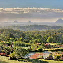 Maleny Botanic Gardens & Bird World: Entry Ticket 3