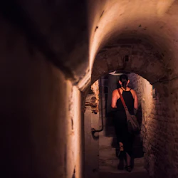 Doges Palace: Guided Tour + VIP Secret Itineraries Visit 4