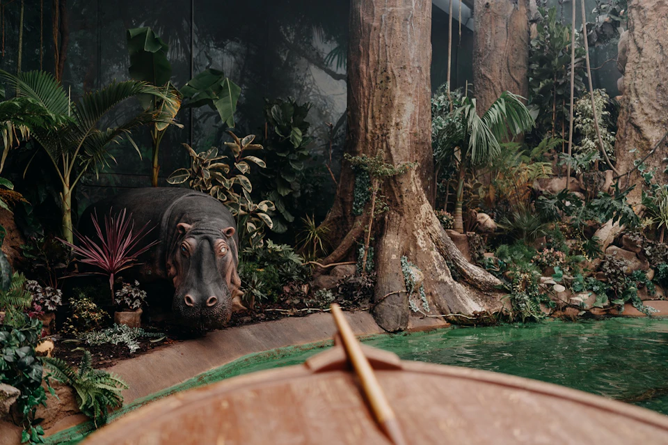 A hippopotamus near a pond surrounded by lush vegetation and large trees, viewed from a wooden boat.