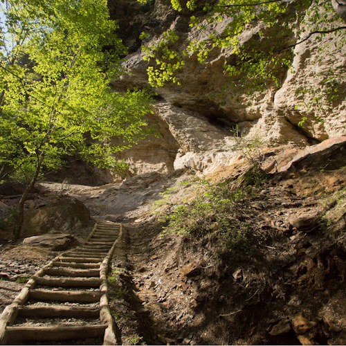 Smoky Mountain: Self-Guided Driving Tour - Photo 2