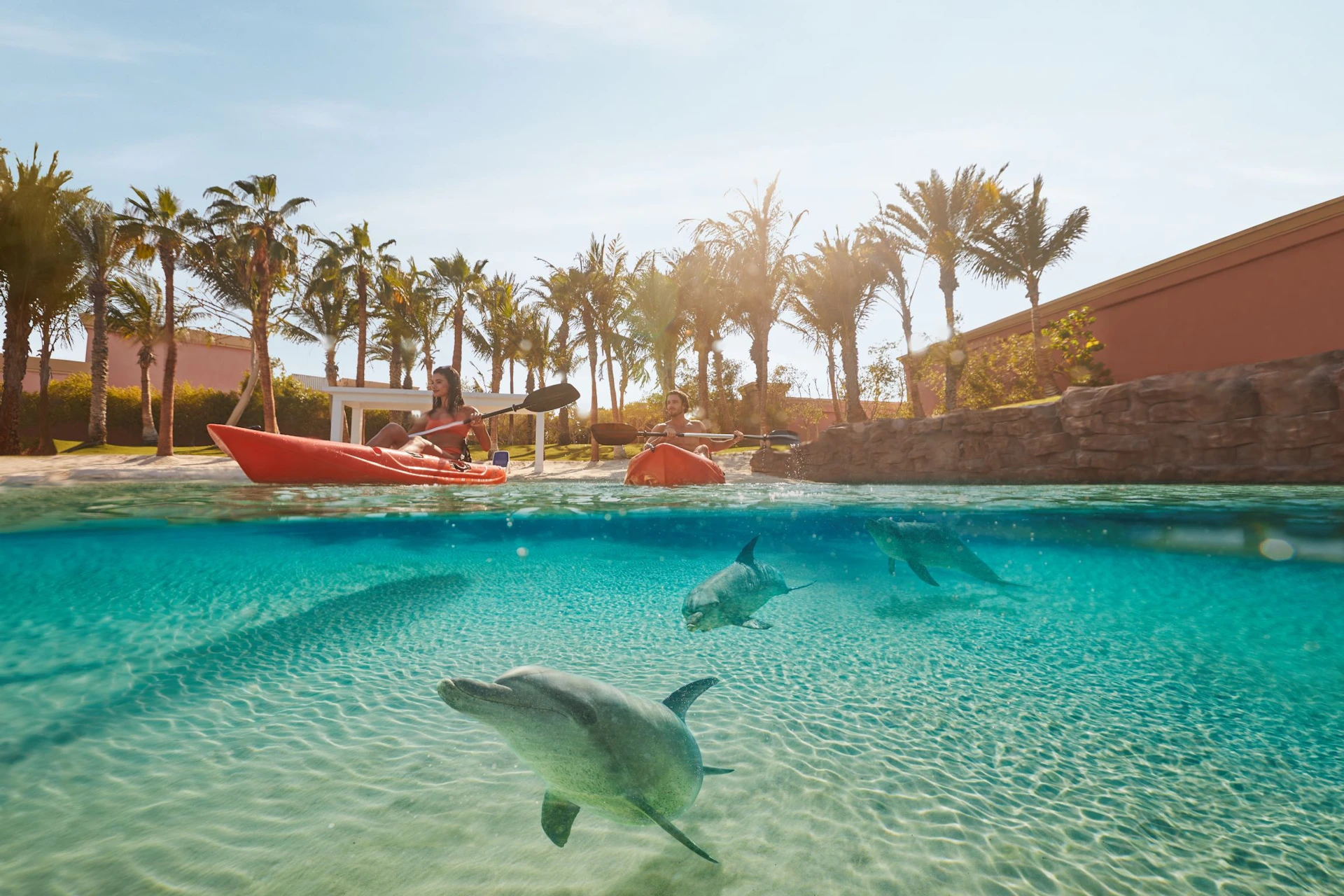 Dolphin Kayak