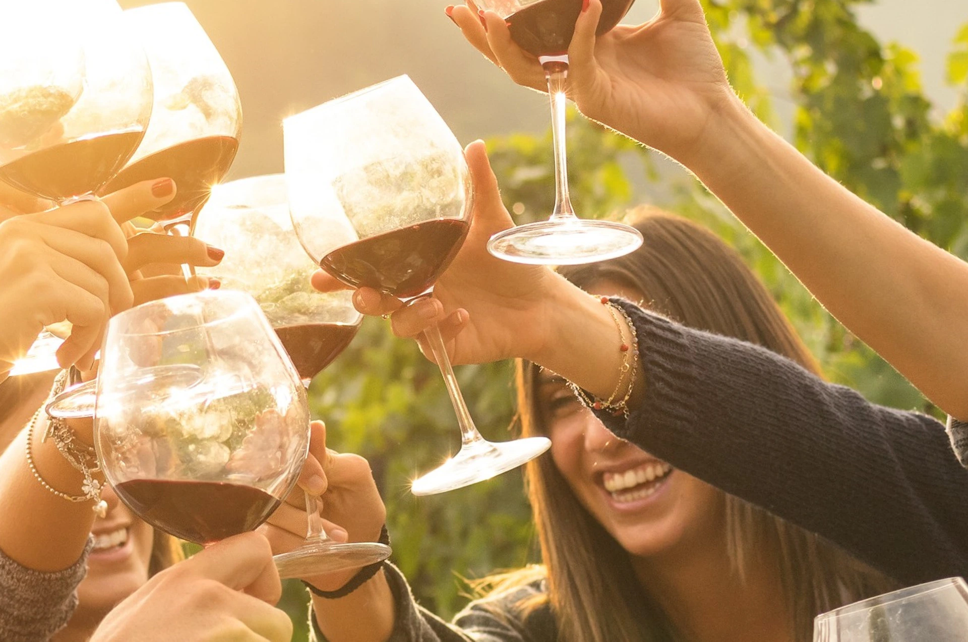 A group of people smiling and clinking wine glasses at an outdoor gathering, with a table of food and greenery in the background.