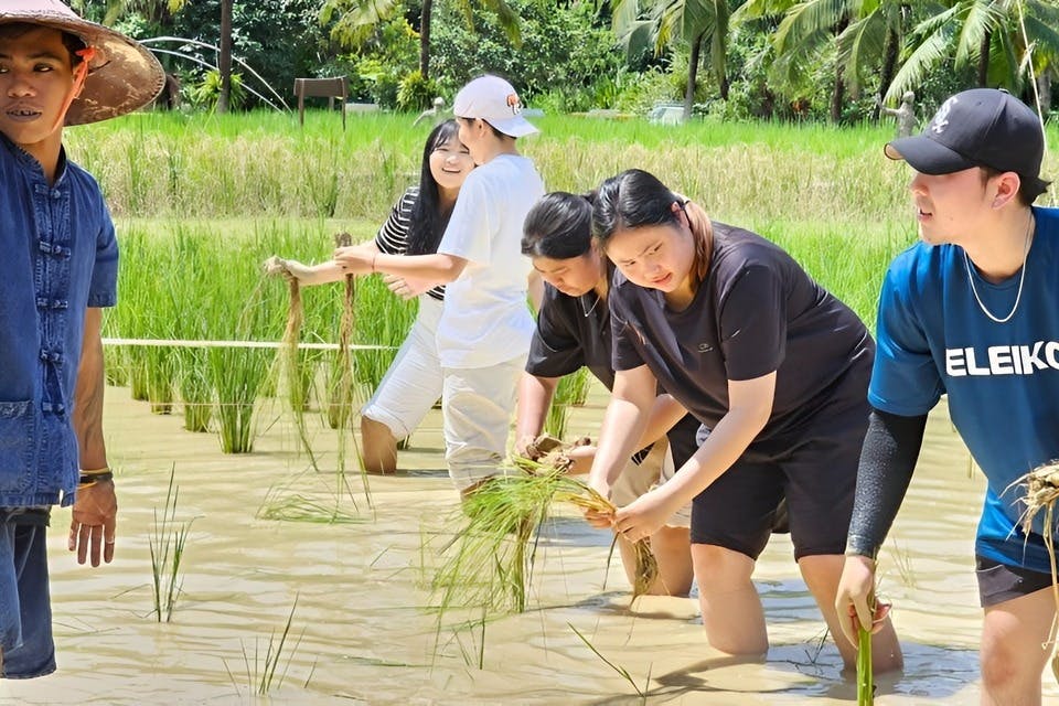 Αυτός ο μοναδικός προορισμός αποκαλύπτει την πλούσια ιστορία και τον πολιτισμό του νότιου νησιού της Ταϊλάνδης.