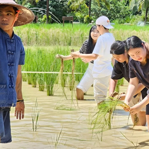 Fazenda antiga de Phuket: Visita guiada - Photo 2