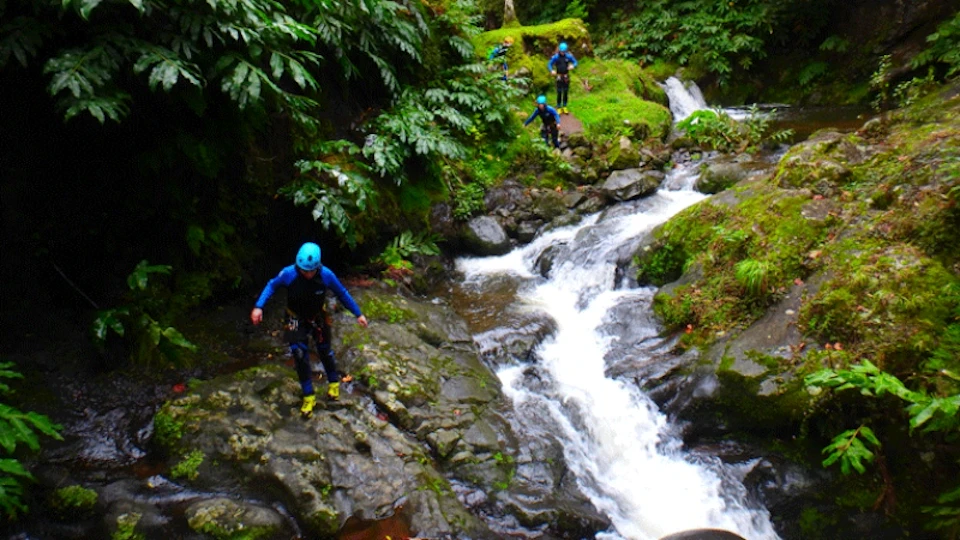 People in blue helmets trekking through a lush, forested area with a flowing stream and small waterfall.