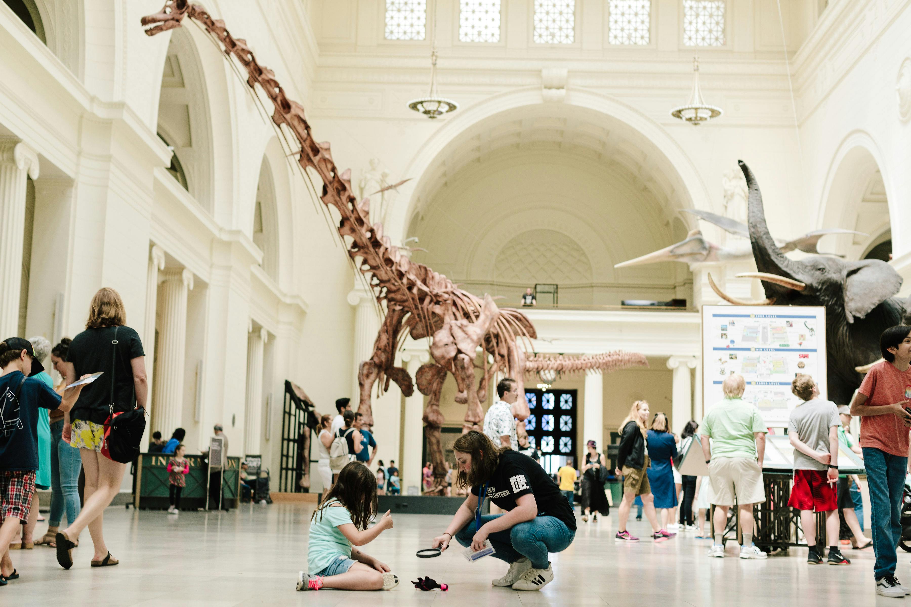 Musée d'Histoire Naturelle: Billets et visites guidées